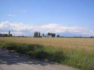 Руда з panoramio.com