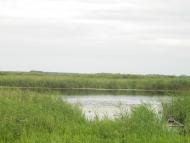 Хотешів з panoramio.com