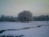 Базалія з panoramio.com