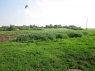 Половинники з panoramio.com