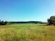 Андріївка з panoramio.com