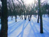 Вільноуланівське з panoramio.com