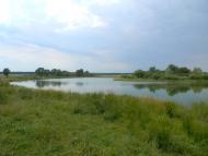 Хрипівка з panoramio.com