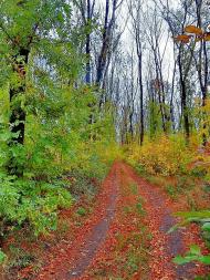 Каютине з panoramio.com