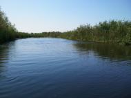 Гупалівка з panoramio.com