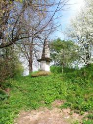 Чижки з panoramio.com