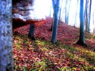 Демня з panoramio.com