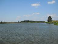 Кошляки з panoramio.com