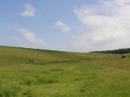 Сатанівка з panoramio.com