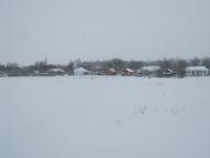 Олександрівка з panoramio.com