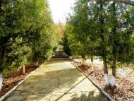 Княгинівка з panoramio.com