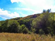 Гірне з panoramio.com