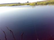 Долиняни - Останні фото