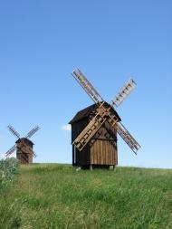 Водяники з panoramio.com