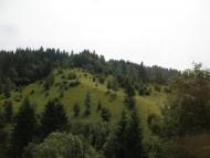 Лопушне з panoramio.com