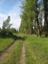 Привітне з panoramio.com