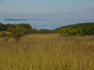 Велика Андрусівка з panoramio.com