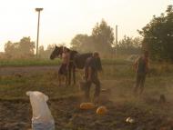 Яблуневе з panoramio.com