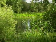 Медведівка з panoramio.com