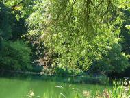 Соцзмагання з panoramio.com