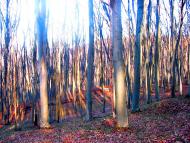 Демня з panoramio.com