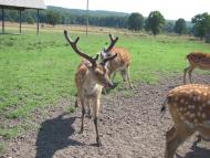 Нанково з panoramio.com