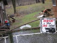 Жденієво з panoramio.com