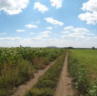 Сабівка з panoramio.com