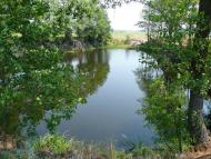 Чорногородка з panoramio.com