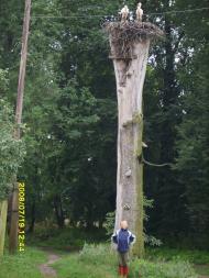 Медведівка з panoramio.com