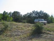 Паліївка з panoramio.com