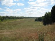 Созонівка з panoramio.com