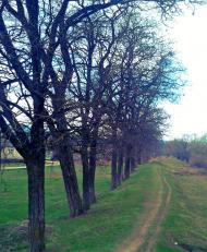 Дубриничі з panoramio.com