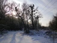 Майданецьке з panoramio.com