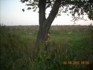 Монастирець з panoramio.com