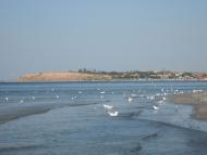 Лугове з panoramio.com