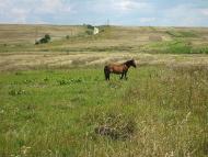Маріямпіль з panoramio.com