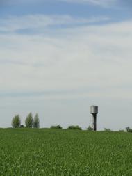 Барвінок - Останні фото