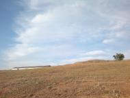 Схід з panoramio.com