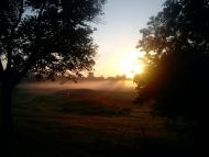 Киріївка з panoramio.com