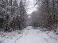 Чудинівці з panoramio.com