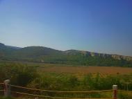 Сирень з panoramio.com