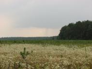 Малійки з panoramio.com