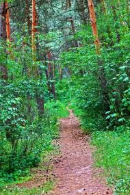 Первозванівка з panoramio.com