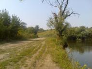 Красноліси з panoramio.com