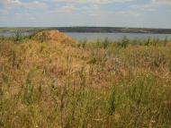 Мале з panoramio.com