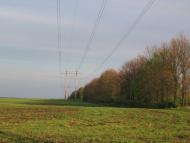 Петрушин з panoramio.com