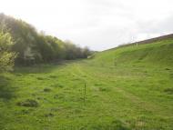 Мошурів з panoramio.com