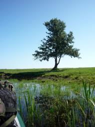 Березичі - Останні фото