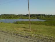 Goryn - Latest photos